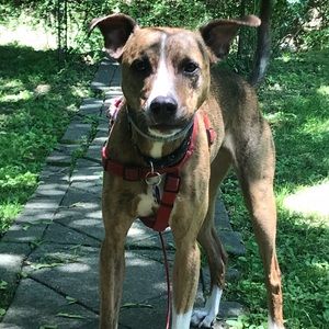 Meet your Posher, Keira
